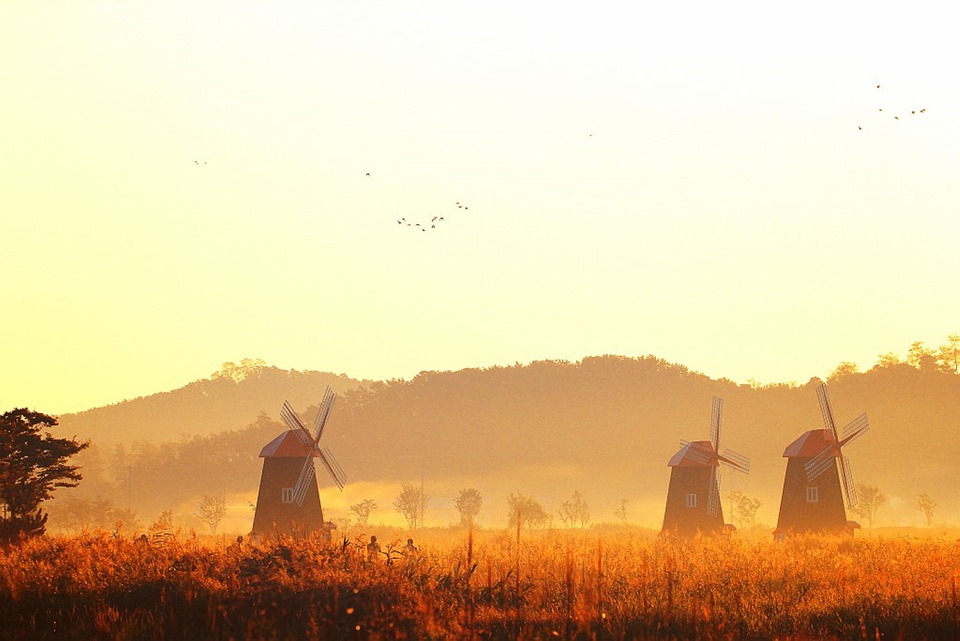 Cối xay gió Hà Lan huyền ảo trong sương mù